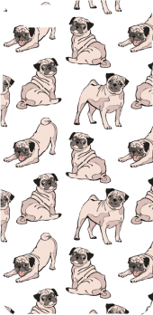 cover Pugs
