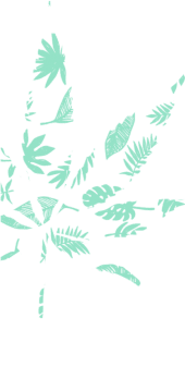 cover foglie su foglie 