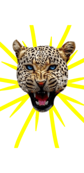 cover Leopard