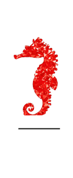 cover Be a SEAHORSE