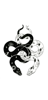 cover Black-and-white cobra