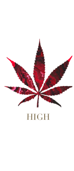 cover HIGH RED