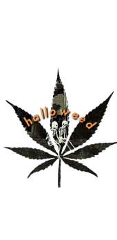 cover halloweed