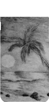 cover custom beach sun and coconut. trees. artwork drawn by Na'auao Pai 