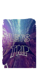 cover Let's trip.