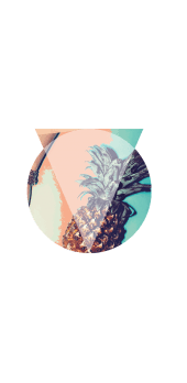 cover ananas 