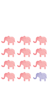 cover elephant