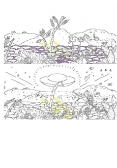 maglietta UFO over fields