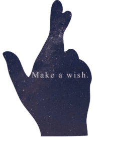 maglietta Make A Wish