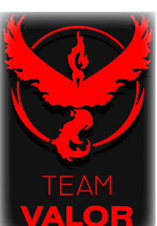 maglietta Team Valor