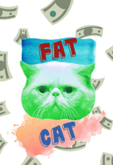 maglietta FAT CAT