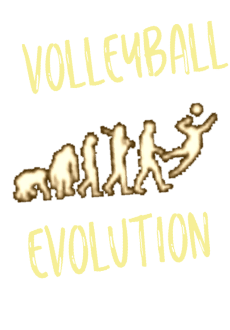 maglietta volleyball evolution