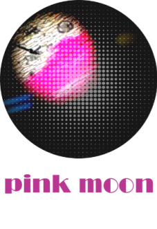 maglietta pink moon
