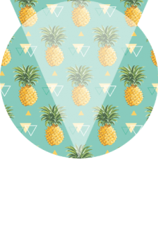 maglietta pineapple's rules