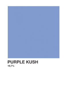 maglietta • Purple Kush •