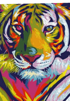 maglietta Tiger Rainbow
