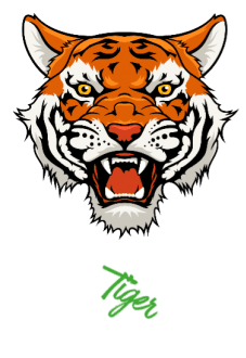 maglietta tiger t-shirt