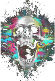 maglietta colorfull skull t-shirt