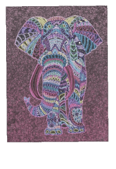 maglietta asiatic elephant