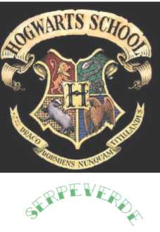 maglietta hogwarts
