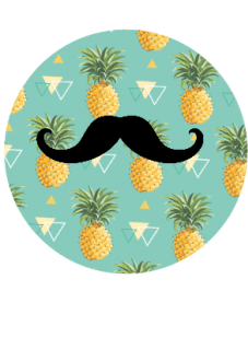 maglietta pineapples and moustaches