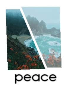 maglietta sea's peace