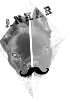 maglietta Ankar French Bulldog