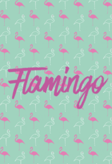 maglietta flamingo 