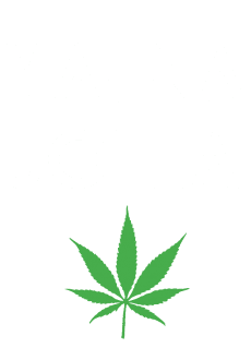 maglietta Jolla/joint