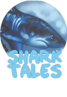 maglietta shark tales