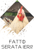 maglietta CrazyChicken2ª