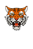 maglietta The Tiger
