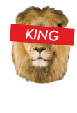 maglietta Lion King