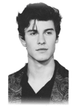 maglietta Shawn Mendes