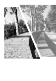 maglietta way
