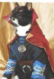 maglietta doctor cat strange