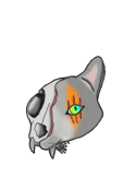 maglietta skull cat 