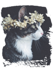 maglietta Floral Cat