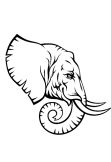 maglietta elephant