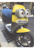 maglietta Minion