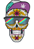 maglietta Modern Mexican Skull