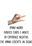 maglietta Collezione Mudra 