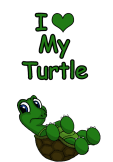 maglietta I lovr my turtle