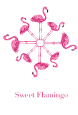 maglietta Sweet Flamingo