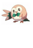 maglietta rowlet t-shirt