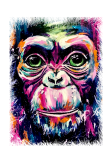 maglietta Scimmia colorata