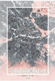 maglietta Stockholm map