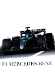 maglietta T- F1