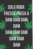 maglietta solo roba fresca presa a DAM