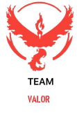 maglietta team valor